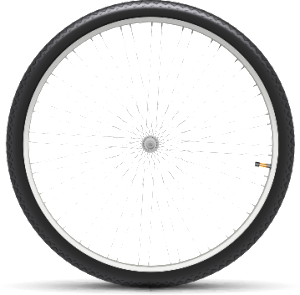 Wheel